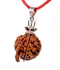 Gauri Shankar Rudraksha